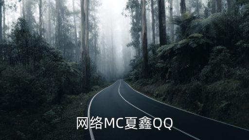 夏鑫，夏鑫的藝術(shù)簽名怎么寫...